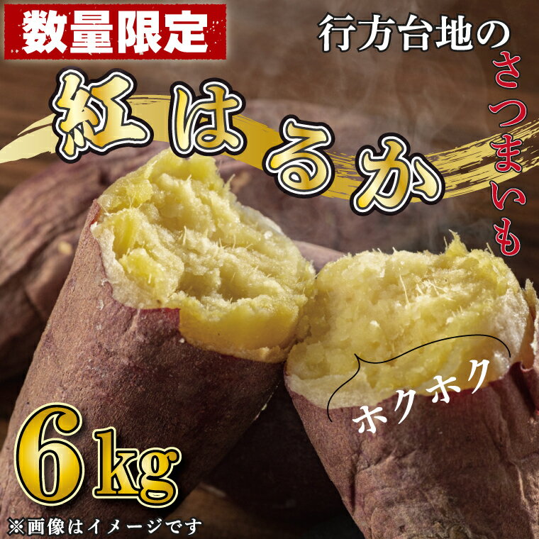 【ふるさと納税】【数量限定】【訳あり】無選別　行方台地のさつまいも　紅はるか6kg　CU-94のサムネイル