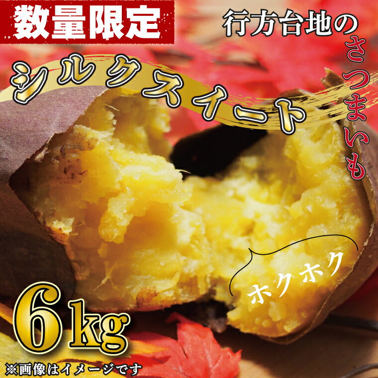 【ふるさと納税】【数量限定】【訳あり】 無選別　行方台地のさつまいも　シルクスイート6kg｜CU-95のサムネイル