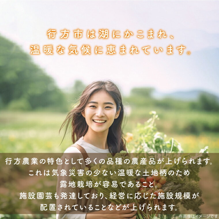 【ふるさと納税】野菜王国なめがたの旬野菜便（さつまいも入り）｜CU-131｜CU-131
