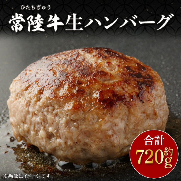 常陸牛生ハンバーグ 約120g×6(CU-209-1)