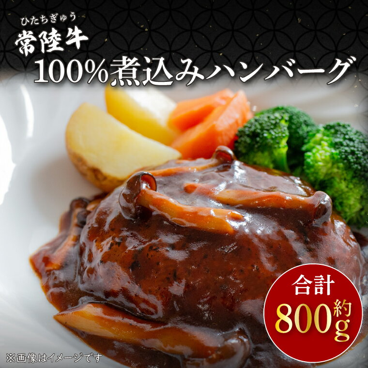 【ふるさと納税】常陸牛100％煮込みハンバーグ　約200g×