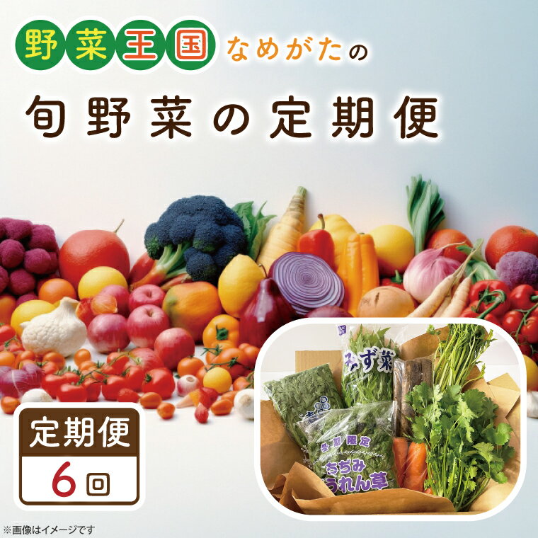【ふるさと納税】【6ヶ月定期便】野菜王国なめがたの旬野菜の定期便|CU-129