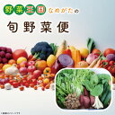 【ふるさと納税】野菜王国なめがたの旬野菜便(さつまいも入り)|CU-131|CU-131