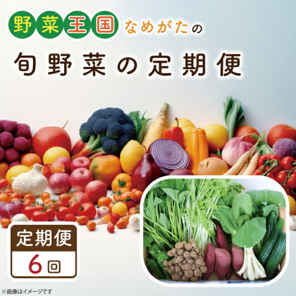 【6ヶ月定期便】野菜王国なめがたの旬野菜の定期便（さつまいも入り）｜CU-133