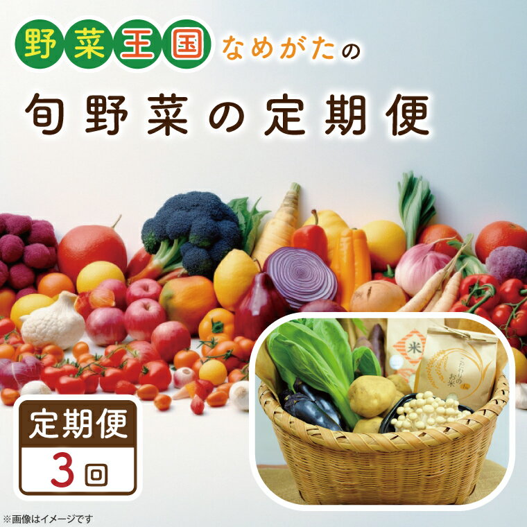 【3ヶ月定期便】野菜王国なめがたの旬野菜の定期便（米入り）｜CU-136