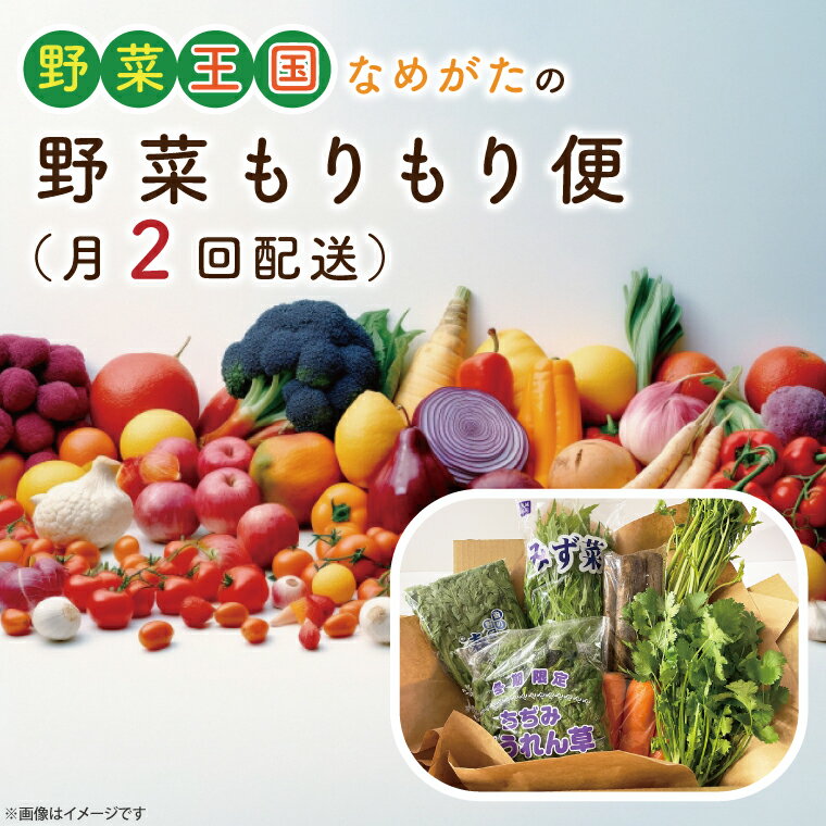 【ふるさと納税】野菜王国なめがたの野菜もりもり便（月2回発送）｜CU-139