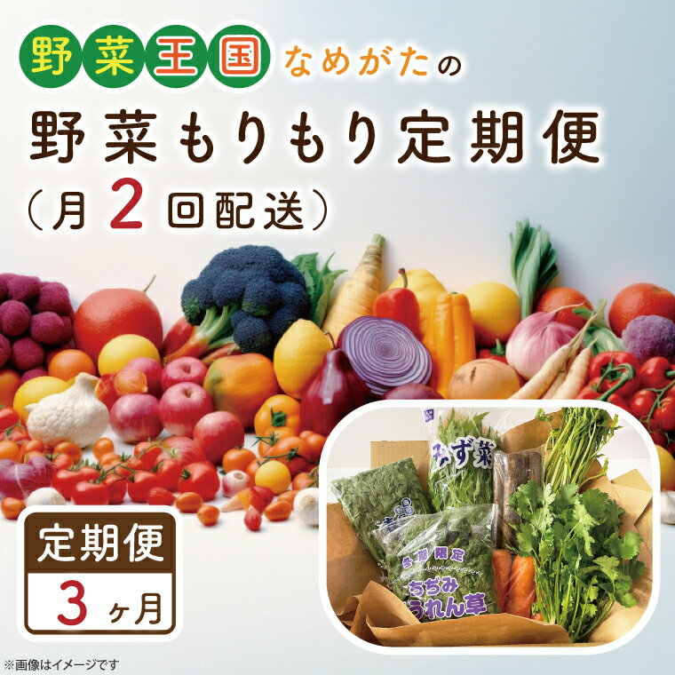 【3ヶ月定期便】野菜王国なめがたの野菜もりもり定期便（月2回発送）｜CU-140