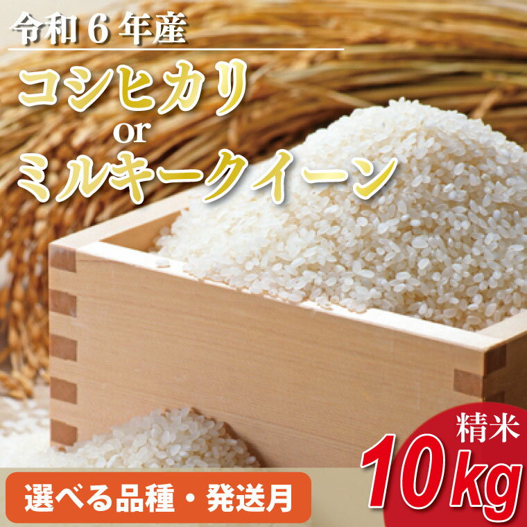 【ふるさと納税】【配送月・品種が選べる】★数量限定★令和6年 茨城県産コシヒカリorミルクークイーン 10kg｜米 お米 こめ こしひかり ..