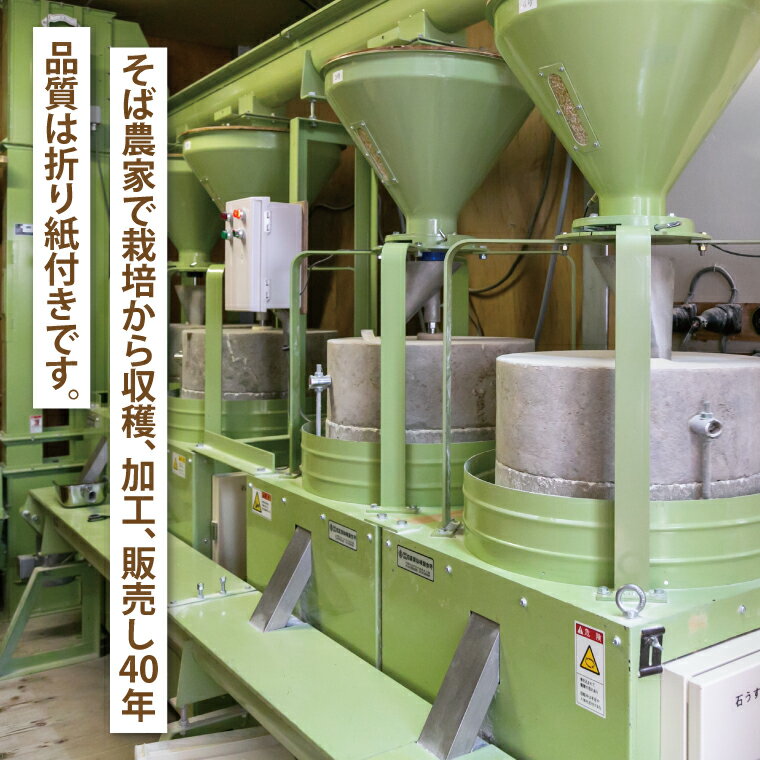 【ふるさと納税】【茨城県共通返礼品／桜川市】【常陸秋そば】八割乾麺セット 8パック入(16人分)｜そば 乾麺 常陸秋そば 茨城県共通返礼品 桜川市 年越しそば 茨城県 行方市｜DX-35