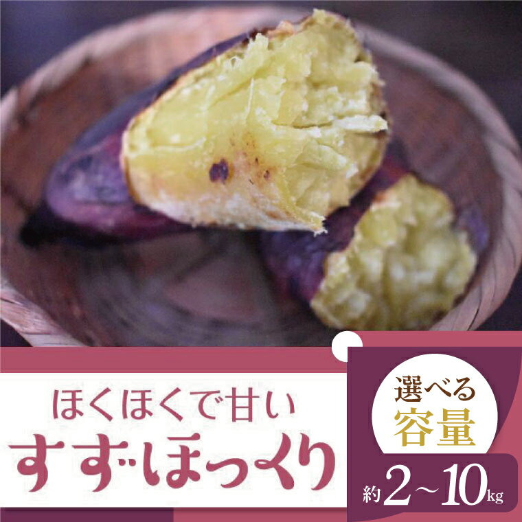 2025年度産 ホクホクで甘いさつまいも すずほっくり 約2〜10kg|さつまいも 芋 お芋 すずほっくり 渋谷農園 茨城県 行方市(BZ-13)
