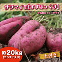 【ふるさと納税】【先行予約】2023年度産 約20kgコンテナ入りサツマイモ（すずほっくり）｜ BZ-29