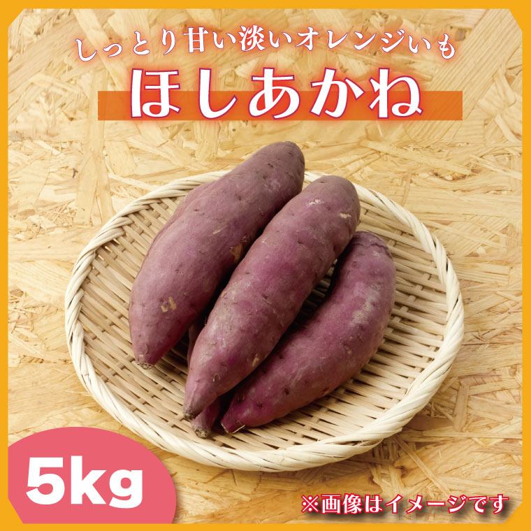 【ふるさと納税】【2024年11月より順次発送】2024年度産 しっとり甘い淡いオレンジいも 『ほしあかね』約5kg(BZ-38)