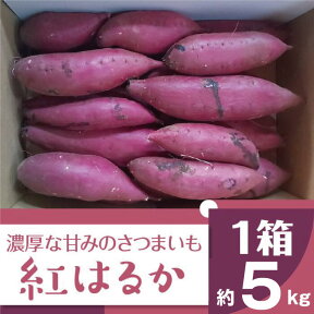 【ふるさと納税】【先行予約】2023年度産 濃厚な甘み さつまいも 紅はるか 約5kg｜BZ-15