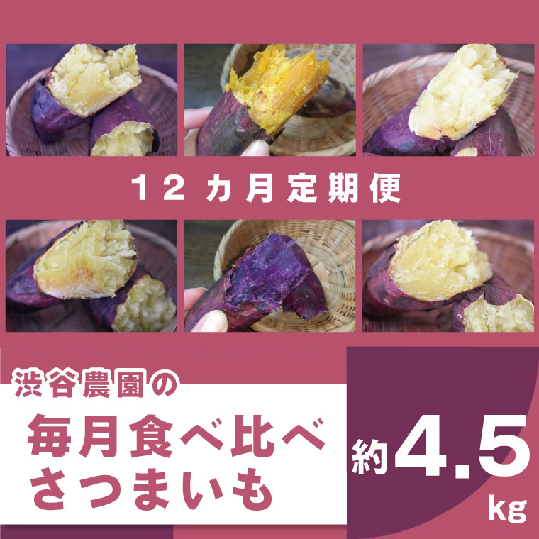 【12ヶ月定期便】渋谷農園の毎月食べ比べさつまいも 約4.5kg｜BZ-21