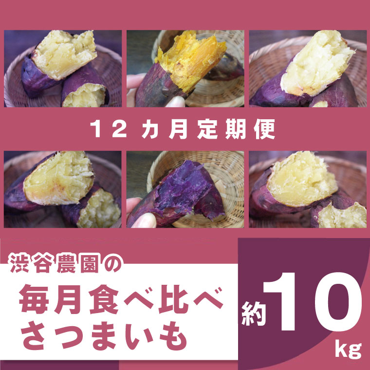 【12ヶ月定期便】渋谷農園の毎月食べ比べさつまいも 約10kg｜BZ-22
