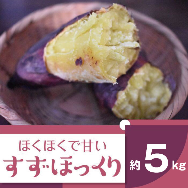 【ふるさと納税】【先行予約】【2024年11月より順次発送】2024年度産 ホクホクで甘いさつまいも 『すずほっくり』約5kg(BZ-13)