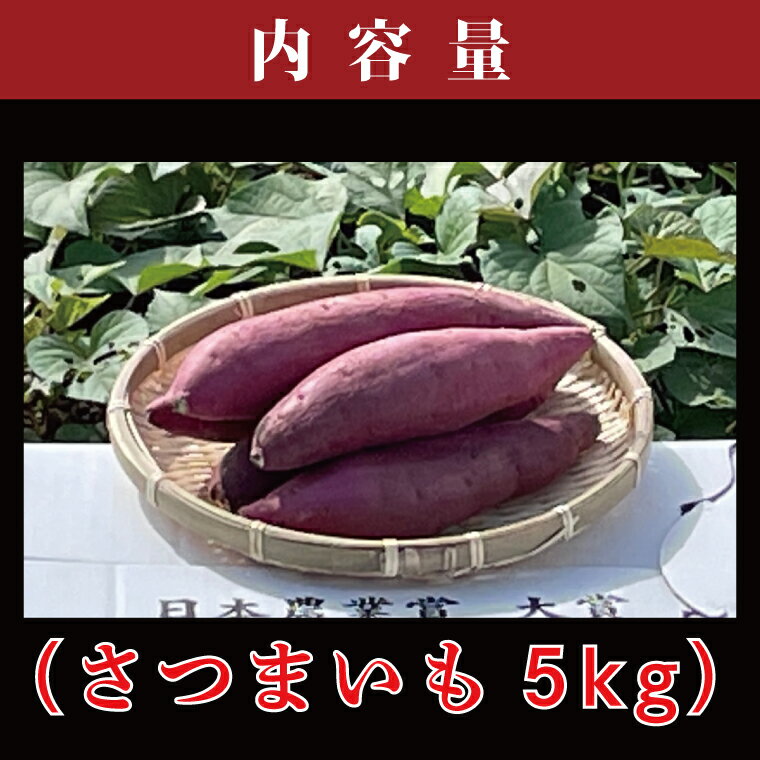 【ふるさと納税】【行方かんしょ】『天皇杯受賞』JA　紅まさり（さつまいも5kg）｜AE-8