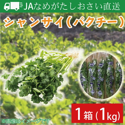 JAなめがたしおさい直送　シャンサイ（パクチー1kg）｜ AE-28