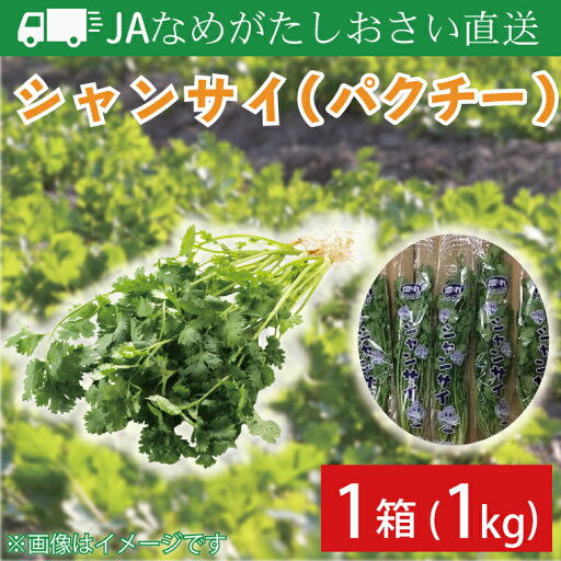 【ふるさと納税】JAなめがたしおさい直送 シャンサイ(パクチー1kg)|シャンサイ パクチー 野菜 1kg JA サラダ 鍋 スープ 茨城県 行方市(AE-28) 【ふるさと納税】JAなめがたしおさい直送 シャンサイ(パクチー1kg)|シャンサイ パクチー 野菜 1kg JA サラダ 鍋 スープ 茨城県 行方市(AE-28)