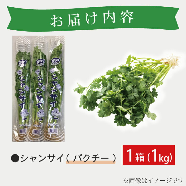 【ふるさと納税】JAなめがたしおさい直送　シャンサイ(パクチー1kg)｜シャンサイ パクチー 野菜 1kg JA サラダ 鍋 スープ 茨城県 行方市(AE-28)