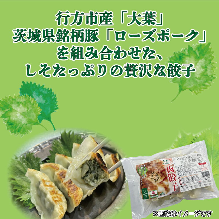 【ふるさと納税】【ローズポーク使用】JA・しそたっぷり肉餃子（30個）＆ニラたっぷり肉餃子（30個）セット｜AE-51