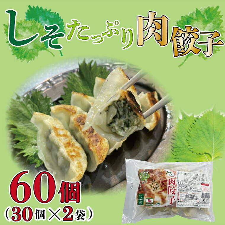 【ふるさと納税】【ローズポーク使用】JA・しそたっぷり肉餃子 30個 2袋｜AE-52