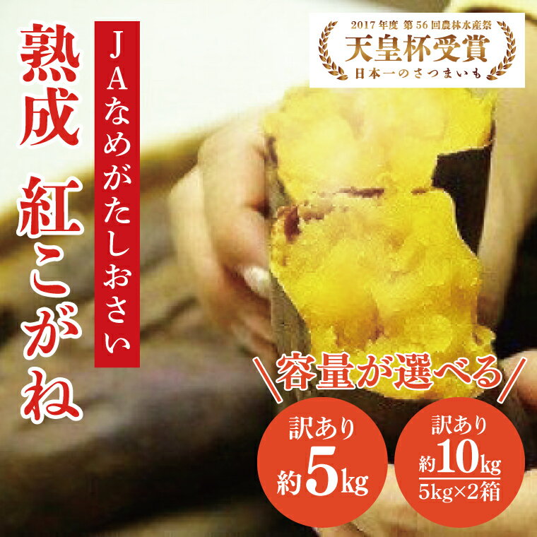 【ふるさと納税】【選べる内容量】【2025年1月より順次発送】【訳あり】行方かんしょ「紅こがね」さつまいも約5kg or 約10kg（洗い・不揃い・C品）(AE-108)のサムネイル