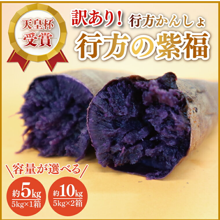 【ふるさと納税】【選べる内容量】【2025年1月中旬より順次発送】【訳あり】行方かんしょ「行方の紫福」さつまいも約5kg or 約10kg（洗い・不揃い・C品）(AE-112)のサムネイル