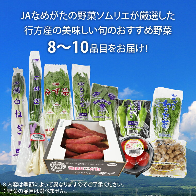 【ふるさと納税】【選べる定期便】『行方かんしょ』入り JAなめがたしおさい 季節の野菜セット（AE-23）