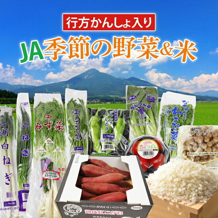 [『行方かんしょ』入り]JA 季節の野菜&米 約5kg(AE-4-1)