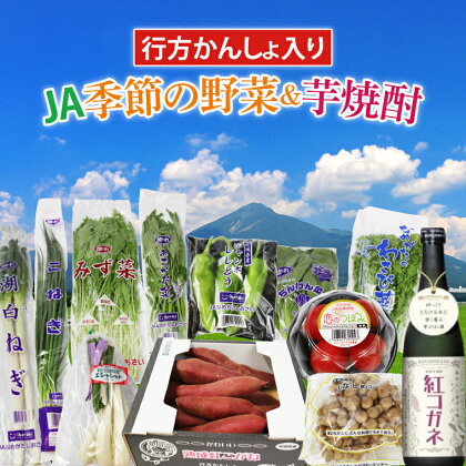 【『行方かんしょ』入り】JA　季節の野菜＆芋焼酎(AE-5)
