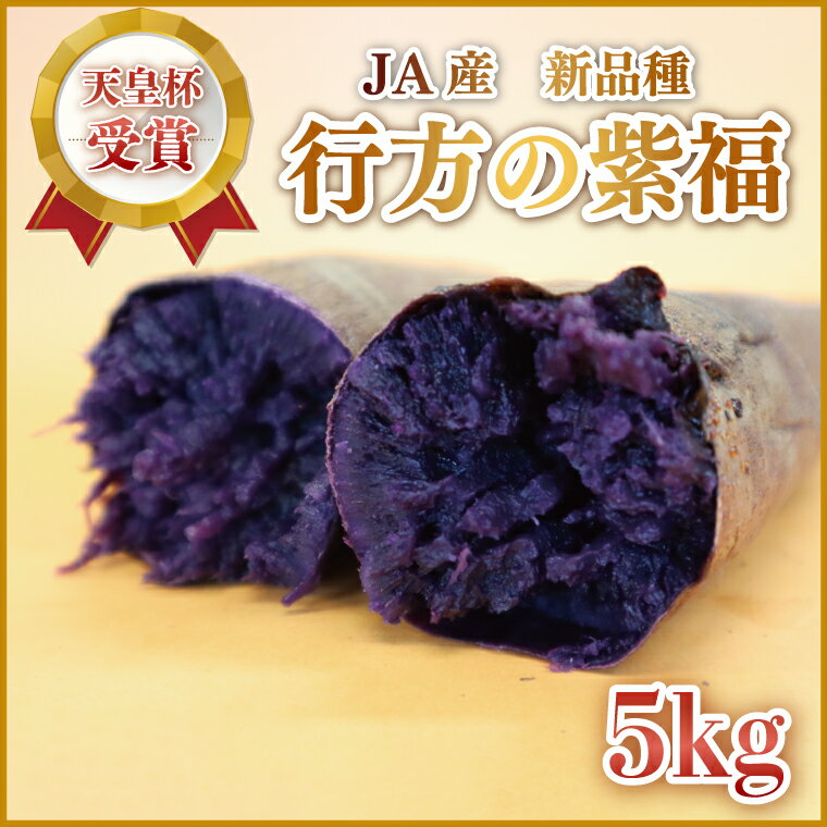 【ふるさと納税】【2025年1月中旬より順次発送】【行方かんしょ】『天皇杯受賞』JA産　新品種「行方の紫福」約5kg（AE-59）のサムネイル