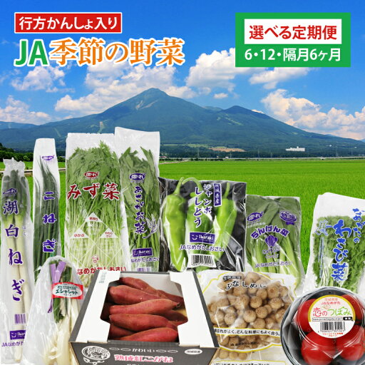 【ふるさと納税】【選べる定期便】『行方かんしょ』入り JAなめがたしおさい 季節の野菜セット(AE-23) 【ふるさと納税】【選べる定期便】『行方かんしょ』入り JAなめがたしおさい 季節の野菜セット(AE-23)