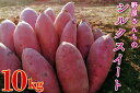 【ふるさと納税】【期間限定】【2026年1月中旬より順次発送】野原さんちのシルクスイート 約10kg|芋 さつまいも サツマイモ お芋 いも シルクスイート 期間限定 先行予約 茨城県 行方市(EL-4)