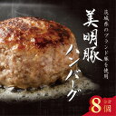 【ふるさと納税】美明豚ハンバーグ 130g 8個セット(AP-11)