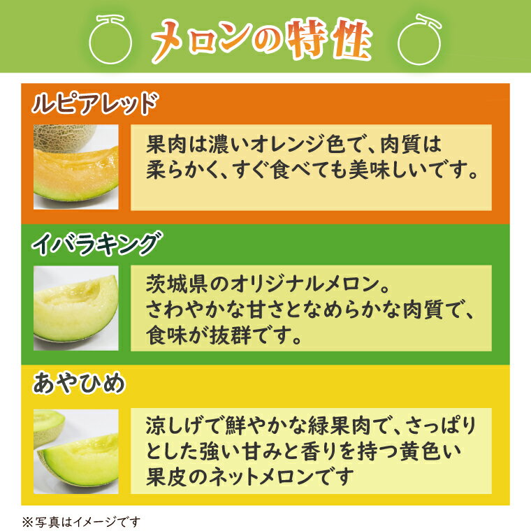 【ふるさと納税】【2026年5月中旬より順次発送】★数量限定★お店で買えない逸品！亀田農園のまごころメロン5kg(4～6玉)｜果物 くだもの メロン ルピアレッド イバラキング あやひめ 数量限定 茨城県 行方市（B-1-1）
