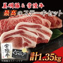 【ふるさと納税】美明豚&常陸牛 最高のステーキセット|J-5