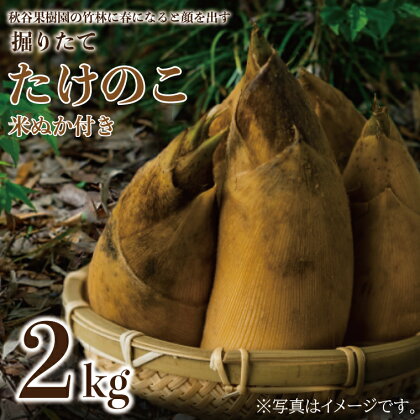 たけのこ　2kg（米ぬか付き）　茨城県 茨城産 行方産 送料無料　CP-10