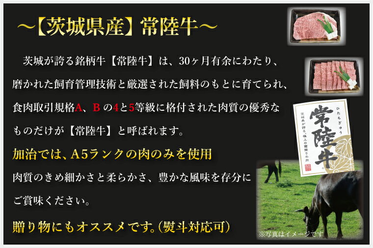 【ふるさと納税】【常陸牛A5ランク・美明豚しゃぶしゃぶセット】常陸牛肩ロース360g＋美明豚400g（ロース200g・ばら200g）｜DT-32