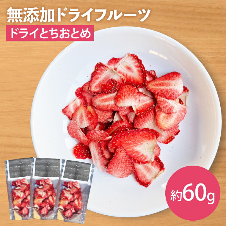 【ふるさと納税】【無添加】ドライとちおとめ 約20g×3|いちご イチゴ 苺 とちおとめ ドライフルーツ フルーツ 乾燥フルーツ 無添加 長期保存 茨城県 行方市(EP-10)