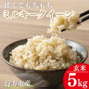 【ふるさと納税】【令和5年産】甘くてもちもち　ミルキークイーン5kg(玄米)(BR-9)