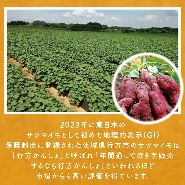 【ふるさと納税】【3ヶ月定期便】茨城県行方市産...の紹介画像3