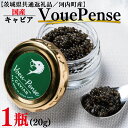 【ふるさと納税】【茨城県共通返礼品/河内町産】国産キャビアVouePense(20g×1瓶)|キャビア 国産 国産キャビア 共通返礼品 贈り物 ギフト 茨城県 ...