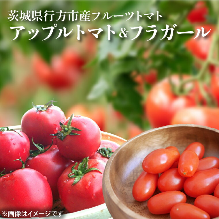【ふるさと納税】★数量限定★東山農園のアップルトマトとフラガール 合計約1kg FP-2 