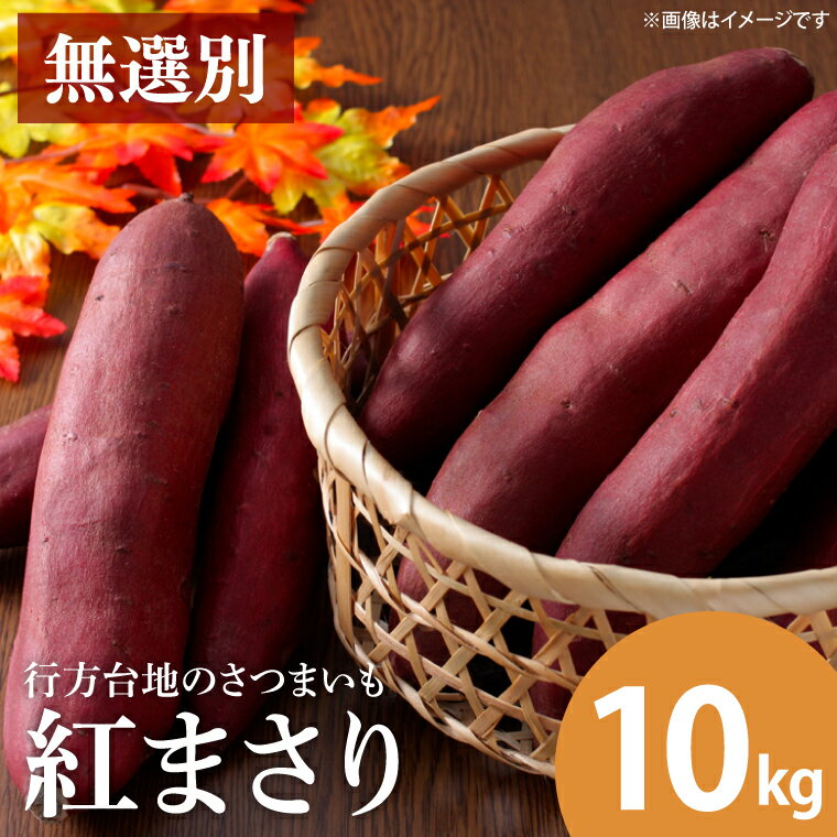 【ふるさと納税】【期間限定】無選別　行方台地のさつまいも　紅まさり約10kg| CU-300