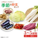 【ふるさと納税】夢見るじっちが作る季節の野菜セット　3～5種類入り1箱（CN-5）