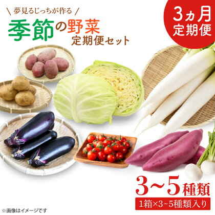 【3ヶ月定期便】 夢見るじっちが作る季節の野菜セット 3～5種類入り1箱（CN-6）