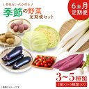 13位! 口コミ数「0件」評価「0」【6ヶ月定期便】 夢見るじっちが作る季節の野菜セット 3～5種類入り1箱(CN-7)