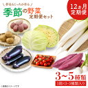 【ふるさと納税】【12ヶ月定期便】 夢見るじっちが作る季節の野菜セット 3～5種類入り1箱(CN-8)