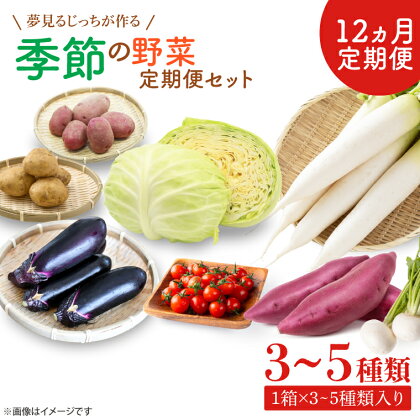 【12ヶ月定期便】 夢見るじっちが作る季節の野菜セット 3～5種類入り1箱(CN-8)